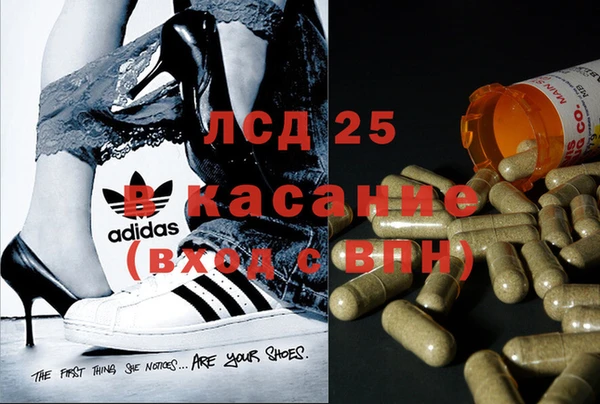 спиды Алзамай