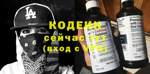 шишки Михайлов